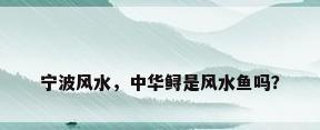 宁波风水，中华鲟是风水鱼吗？