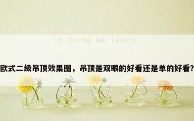 欧式二级吊顶效果图，吊顶是双眼的好看还是单的好看？