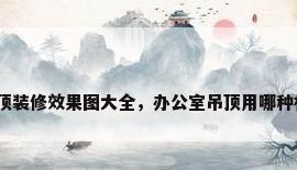 办公室吊顶装修效果图大全，办公室吊顶用哪种材料便宜？