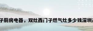 西门子厨房电器，双灶西门子燃气灶多少钱深圳产的？