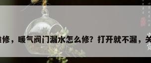 暖气阀门漏水维修，暖气阀门漏水怎么修？打开就不漏，关紧就漏求指教？