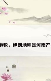 伊朗地毯，伊朗地毯是河南产的吗？