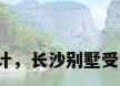 长沙别墅设计，长沙别墅受购房限制吗？