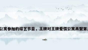 爱情公寓参加的综艺节目，王牌对王牌爱情公寓再聚第几期？