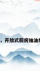 厨房油烟机价格，开放式厨房抽油烟机选多大立方？