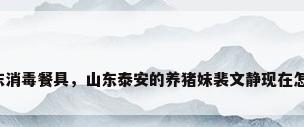 山东消毒餐具，山东泰安的养猪妹裴文静现在怎样？