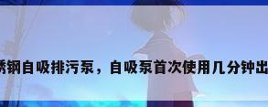 不锈钢自吸排污泵，自吸泵首次使用几分钟出水？