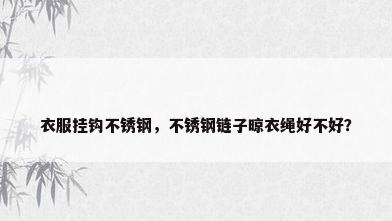 衣服挂钩不锈钢，不锈钢链子晾衣绳好不好？