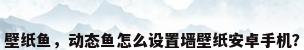 壁纸鱼，动态鱼怎么设置墙壁纸安卓手机？