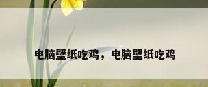 电脑壁纸吃鸡，电脑壁纸吃鸡