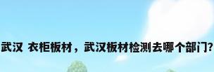 武汉 衣柜板材，武汉板材检测去哪个部门？