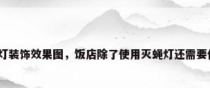 饭店彩灯装饰效果图，饭店除了使用灭蝇灯还需要什么灯？