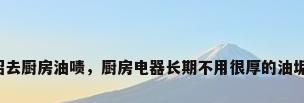 生活小妙招去厨房油啧，厨房电器长期不用很厚的油垢怎么清理？