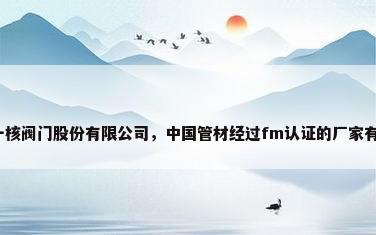 上海一核阀门股份有限公司，中国管材经过fm认证的厂家有哪些？