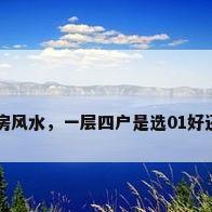 如何看新房风水，一层四户是选01好还是04好？