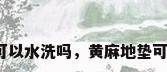 羊毛地毯可以水洗吗，黄麻地垫可以水洗吗？