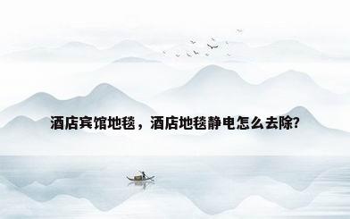 酒店宾馆地毯，酒店地毯静电怎么去除？