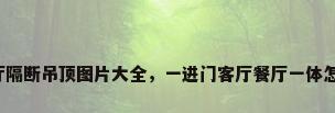 客厅餐厅隔断吊顶图片大全，一进门客厅餐厅一体怎么隔开？