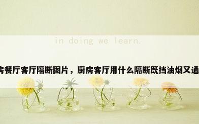 厨房餐厅客厅隔断图片，厨房客厅用什么隔断既挡油烟又通风？