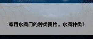家用水阀门的种类图片，水阀种类？