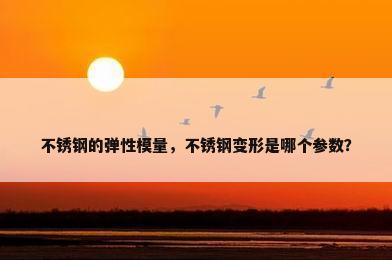 不锈钢的弹性模量，不锈钢变形是哪个参数？