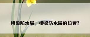 桥梁防水层，桥梁防水层的位置？