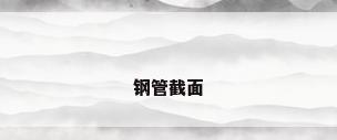 钢管截面