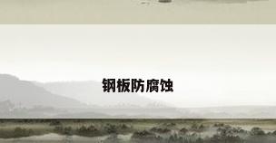 钢板防腐蚀