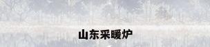 山东采暖炉