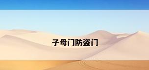 子母门防盗门