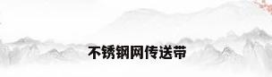 不锈钢网传送带