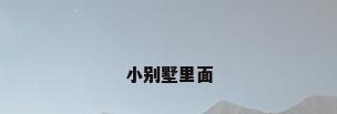 小别墅里面