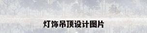 灯饰吊顶设计图片