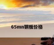 65mn钢板价格