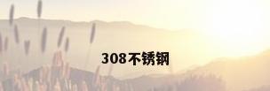 308不锈钢