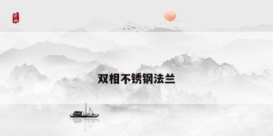 双相不锈钢法兰