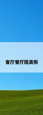客厅餐厅隔离柜