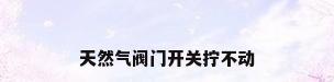 天然气阀门开关拧不动