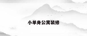 小单身公寓装修