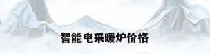 智能电采暖炉价格
