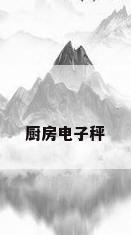 厨房电子秤