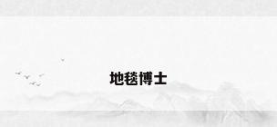 地毯博士
