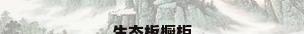 生态板橱柜
