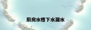 厨房水槽下水漏水