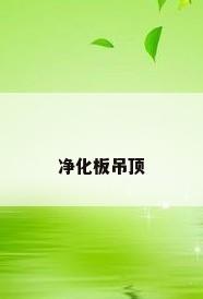 净化板吊顶