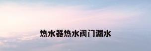 热水器热水阀门漏水