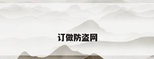 订做防盗网