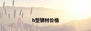 h型钢材价格