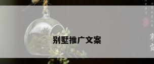别墅推广文案