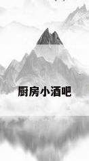 厨房小酒吧